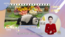 她们的性爱